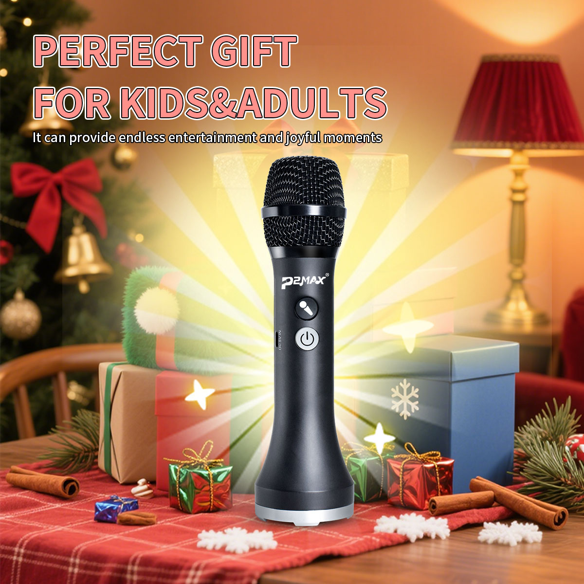 1PC 20Watt P2MAX Echo Hifi Kar - Shure Mic Sm58 review and price